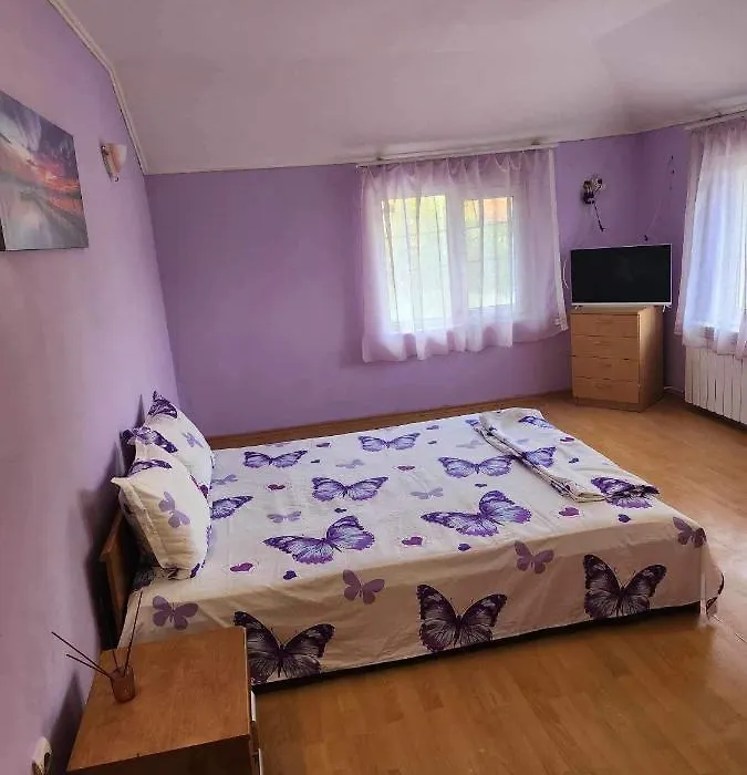 Guest House Iveta-1